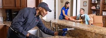 Best Pest Prevention Services  in Elmo, TX